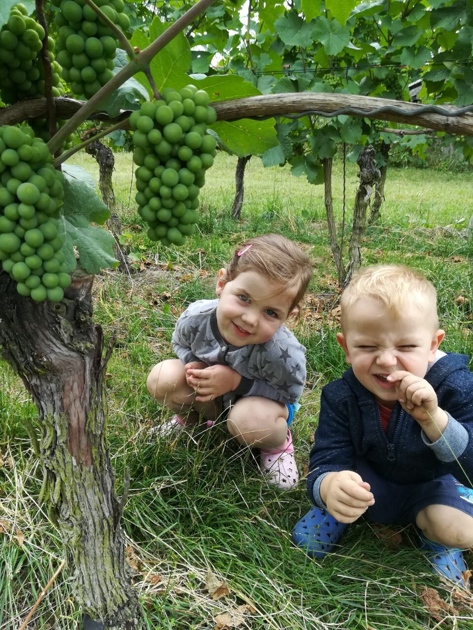 Kinder im Freien bei der Kindertagespflege Unterm Rebstock in Wiesloch