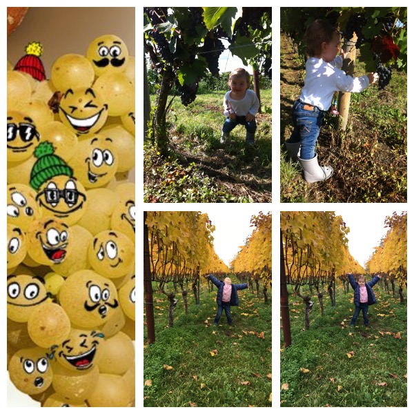 U3 Kinderbetreuung in der Natur bei Katrin Holfelder in Wiesloch